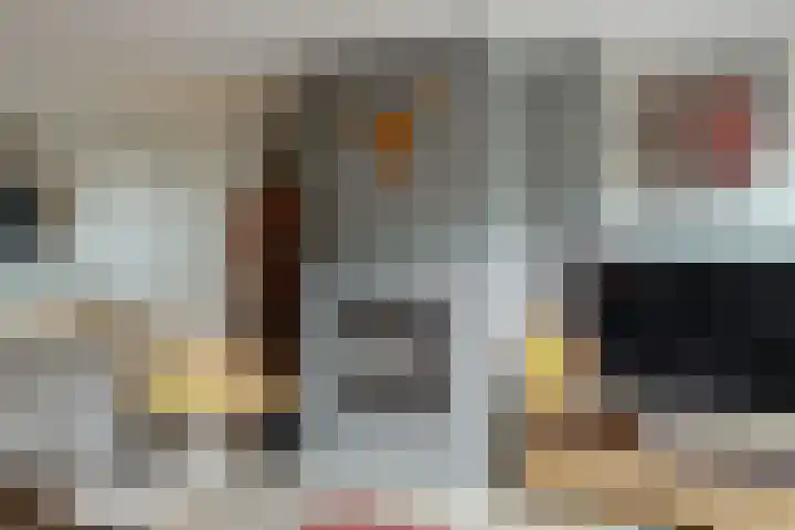 Baesjoulaan 17 Tiel thumbnail 7