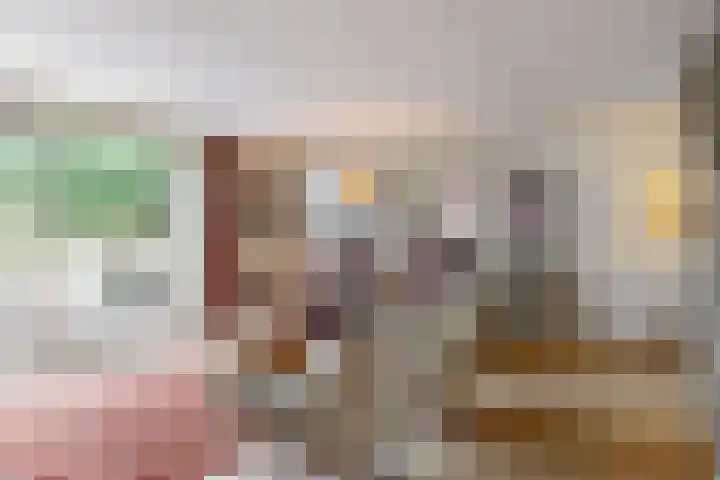 Baesjoulaan 17 Tiel thumbnail 8