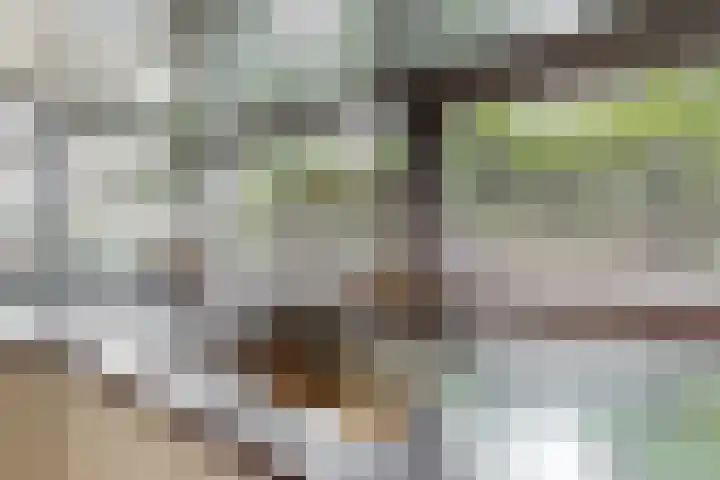Baesjoulaan 17 Tiel thumbnail 9