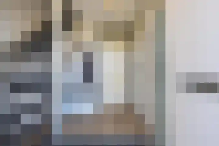 Baesjoulaan 2 Tiel thumbnail 12
