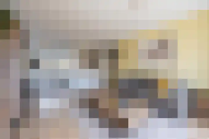 Baesjoulaan 2 Tiel thumbnail 16