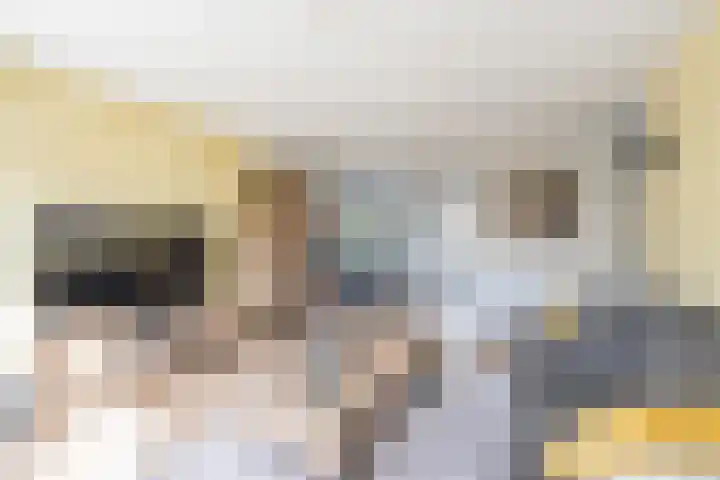 Baesjoulaan 2 Tiel thumbnail 17