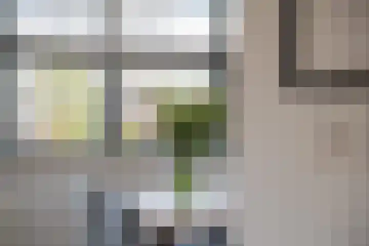 Baesjoulaan 2 Tiel thumbnail 18