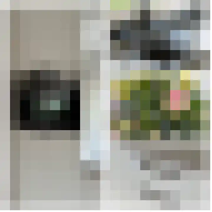 Baesjoulaan 2 Tiel thumbnail 23