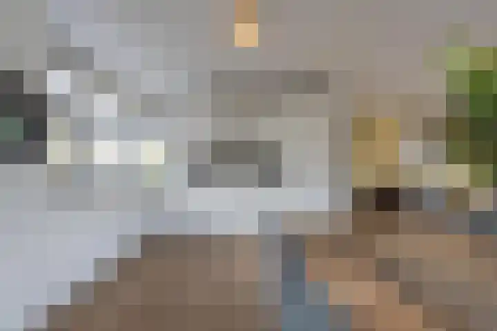 Baesjoulaan 2 Tiel thumbnail 24