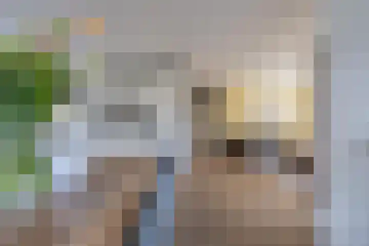 Baesjoulaan 2 Tiel thumbnail 26
