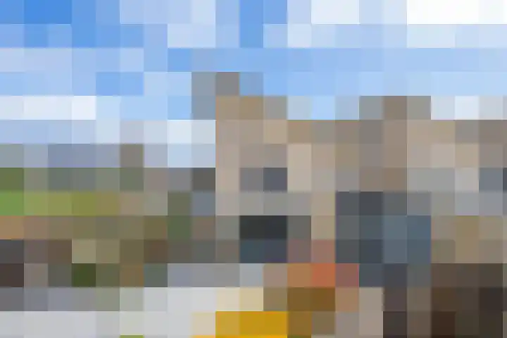 Baesjoulaan 2 Tiel foto 3