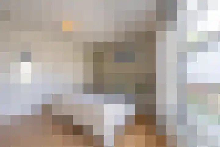 Baesjoulaan 2 Tiel thumbnail 30