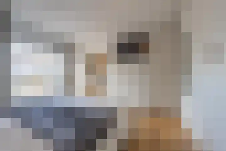 Baesjoulaan 2 Tiel thumbnail 32