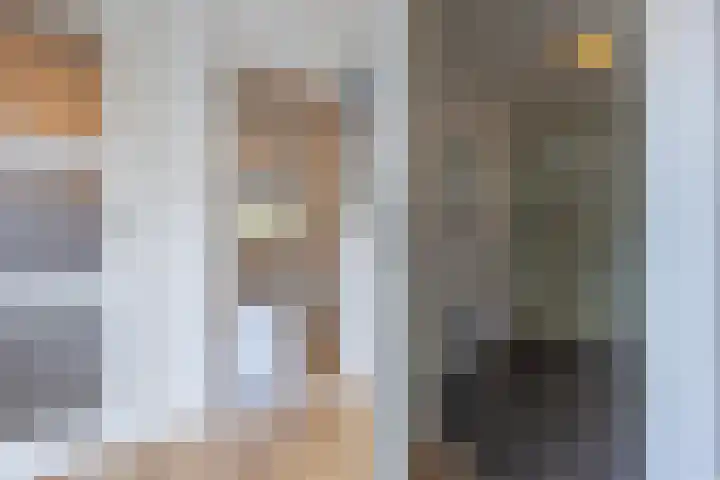 Baesjoulaan 2 Tiel thumbnail 33