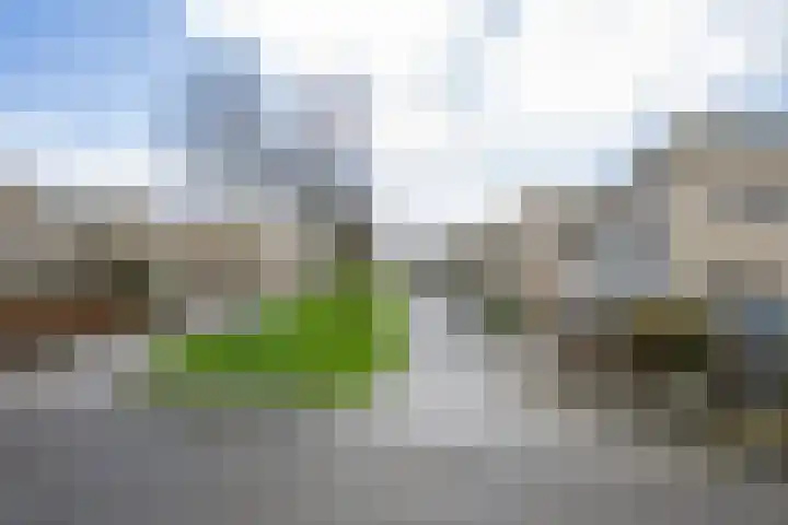 Baesjoulaan 2 Tiel thumbnail 4