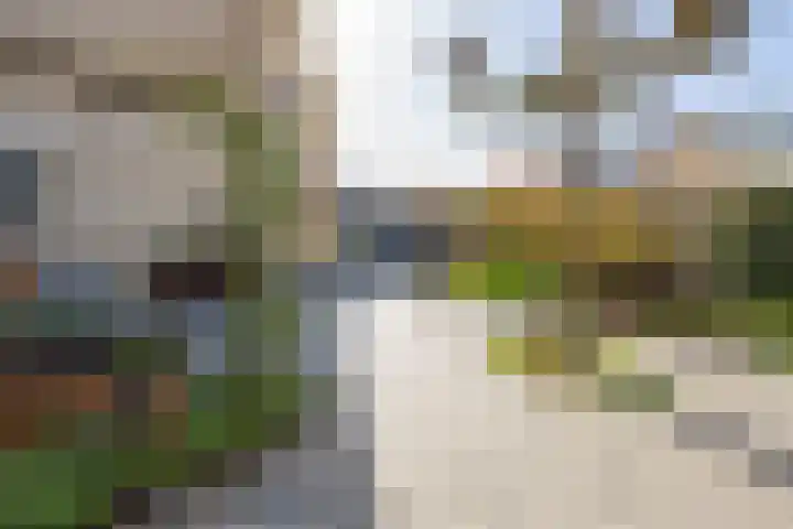 Baesjoulaan 2 Tiel thumbnail 40