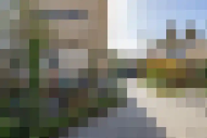 Baesjoulaan 2 Tiel thumbnail 42