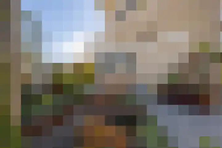 Baesjoulaan 2 Tiel thumbnail 44