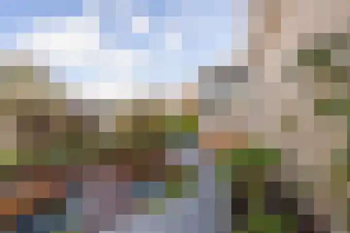 Baesjoulaan 2 Tiel thumbnail 45
