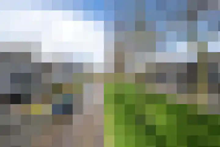 Baesjoulaan 2 Tiel thumbnail 5