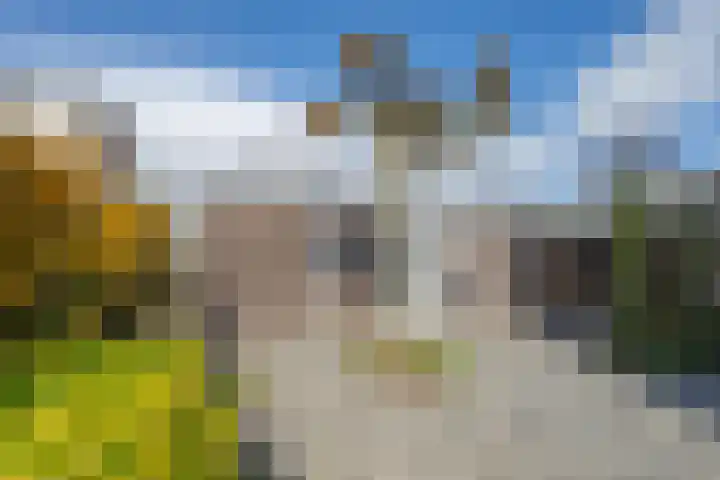 Baesjoulaan 2 Tiel thumbnail 53
