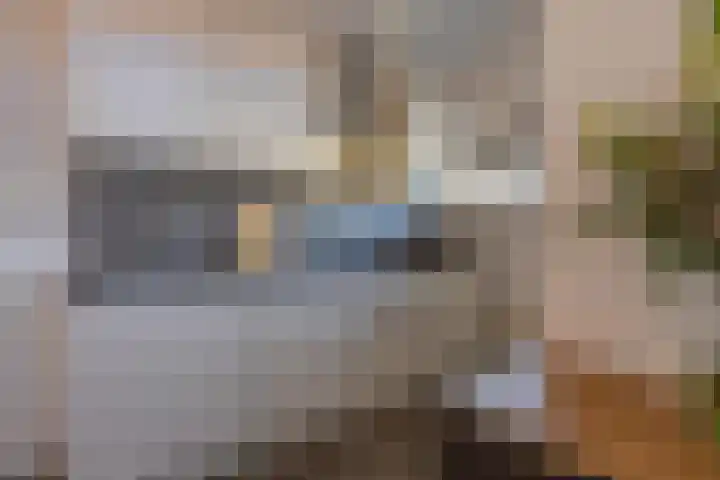 Baesjoulaan 2 Tiel thumbnail 57