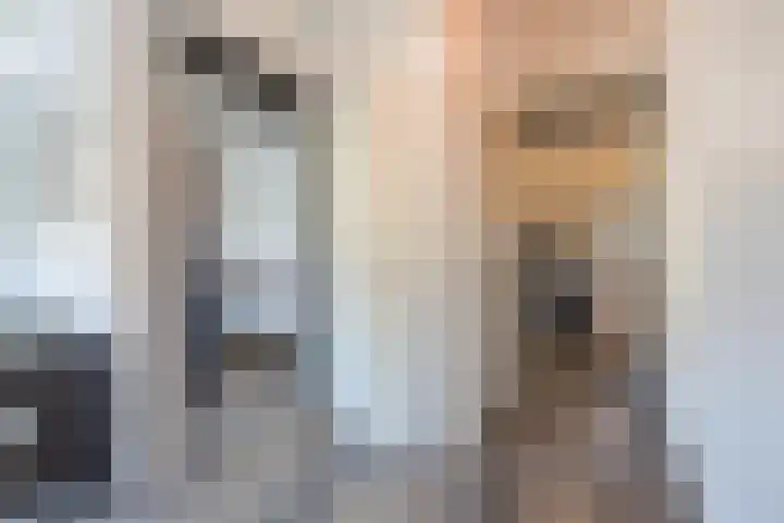 Baesjoulaan 2 Tiel thumbnail 59