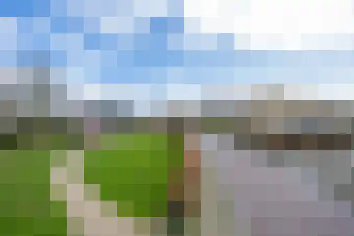 Baesjoulaan 2 Tiel thumbnail 7