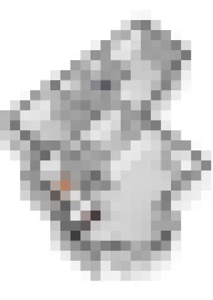 Baesjoulaan 2 Tiel thumbnail 72