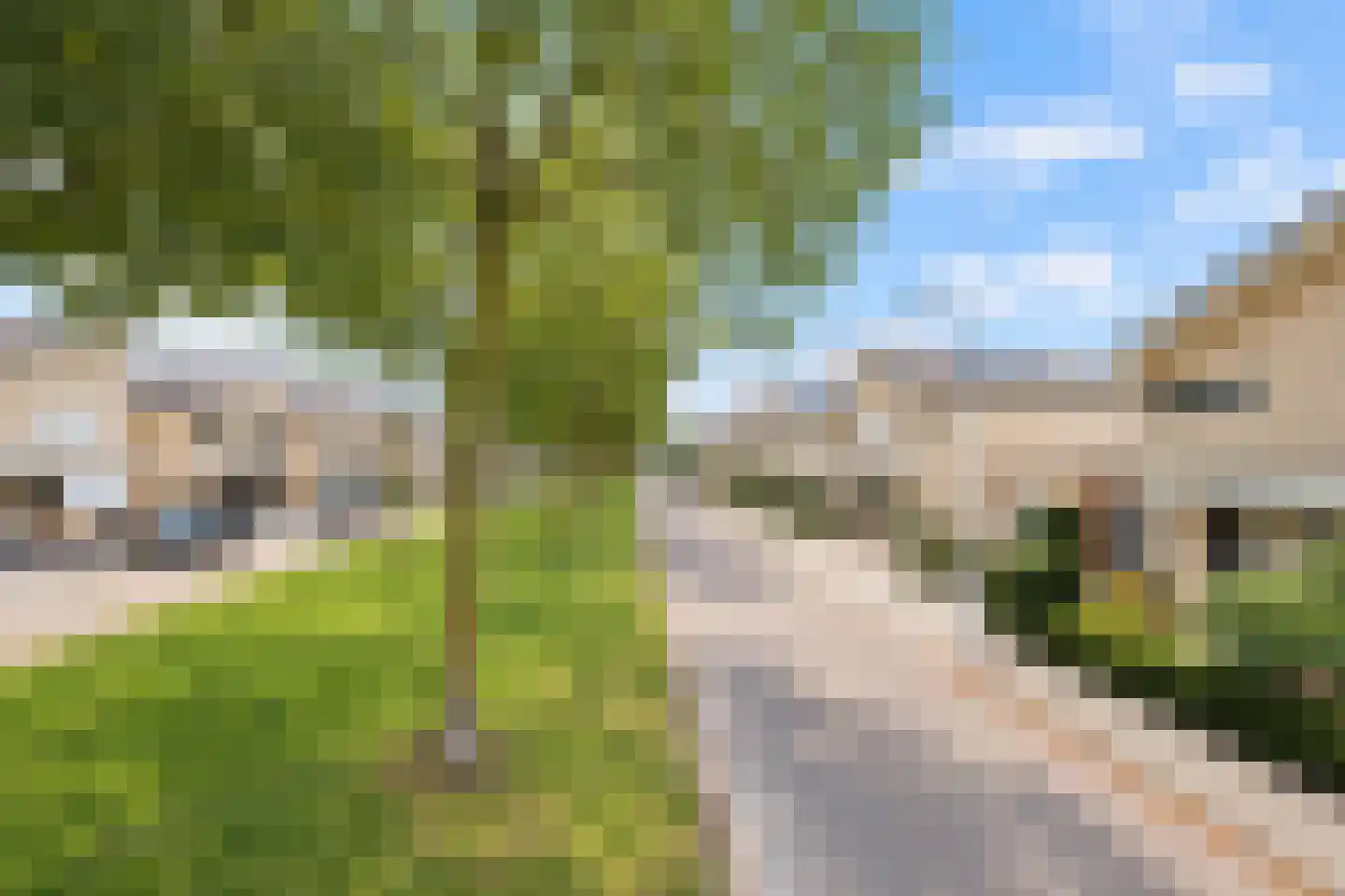 Baesjoulaan 21 Tiel thumbnail 10