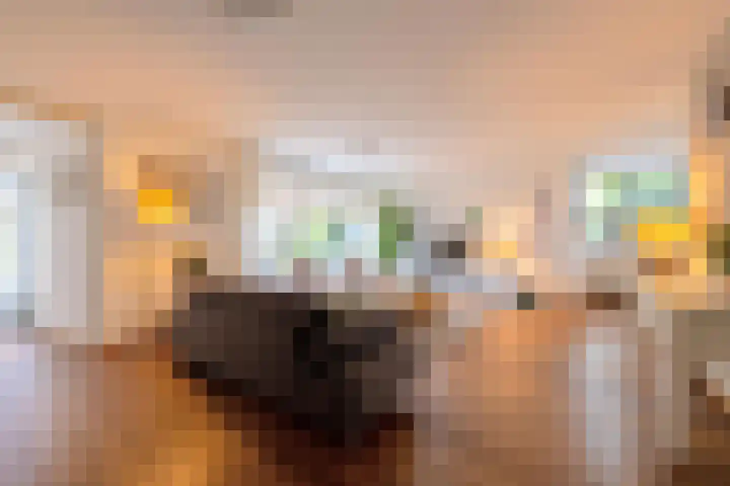 Baesjoulaan 21 Tiel thumbnail 18