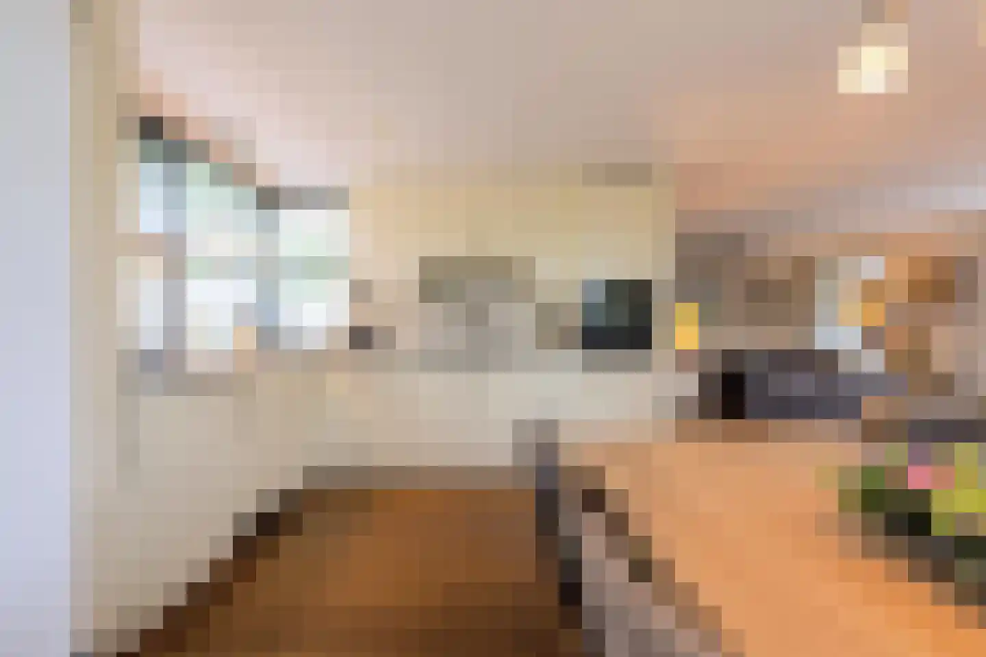 Baesjoulaan 21 Tiel thumbnail 25