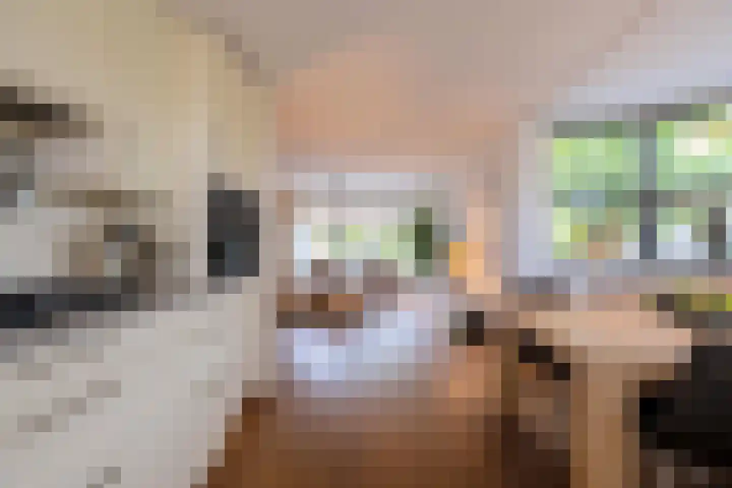 Baesjoulaan 21 Tiel thumbnail 28