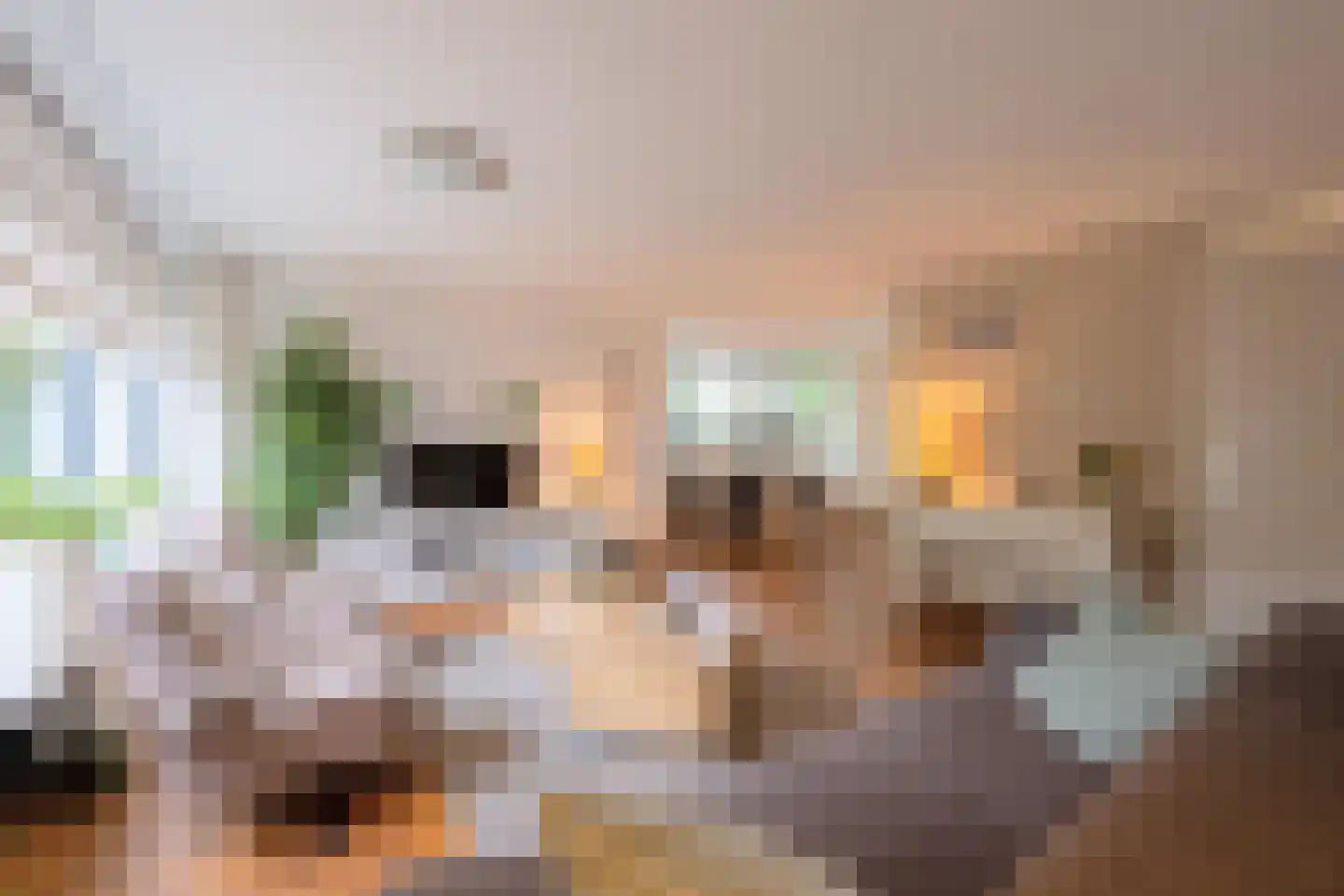 Baesjoulaan 21 Tiel foto 3