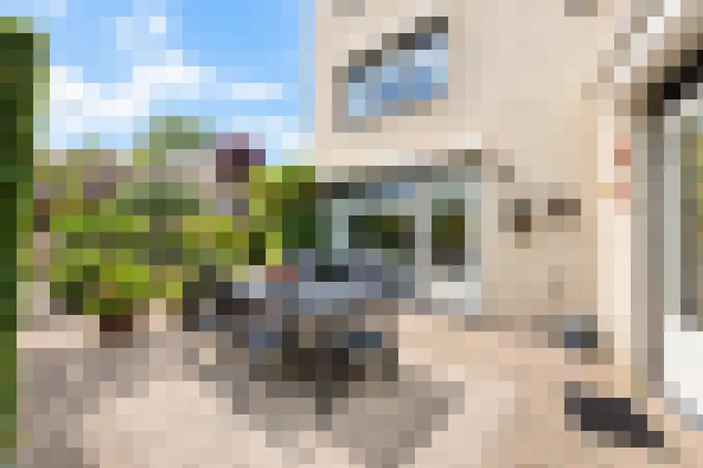 Baesjoulaan 21 Tiel thumbnail 36