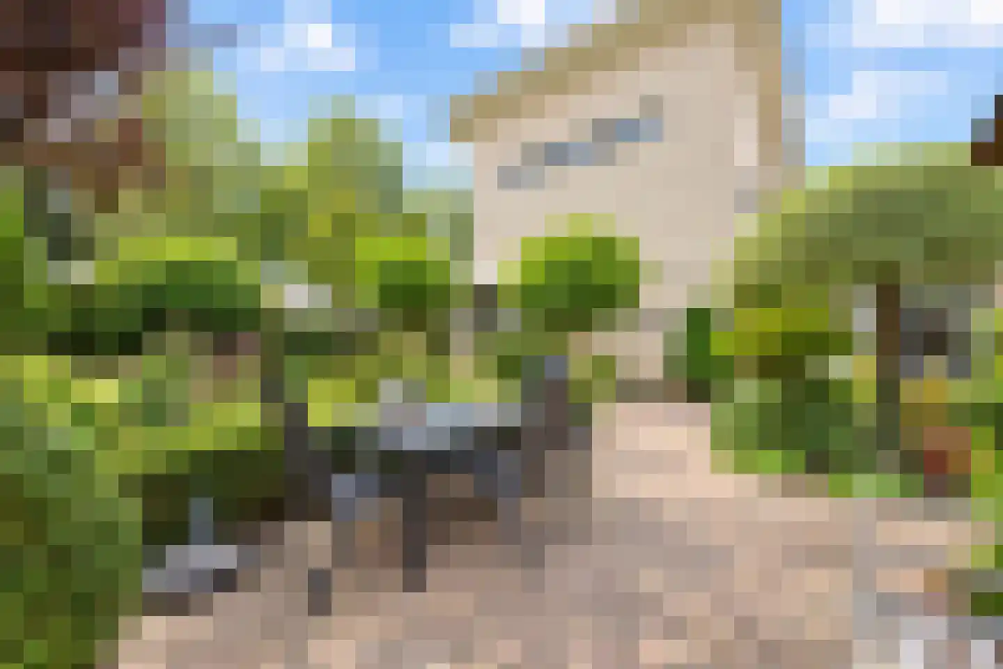 Baesjoulaan 21 Tiel thumbnail 4