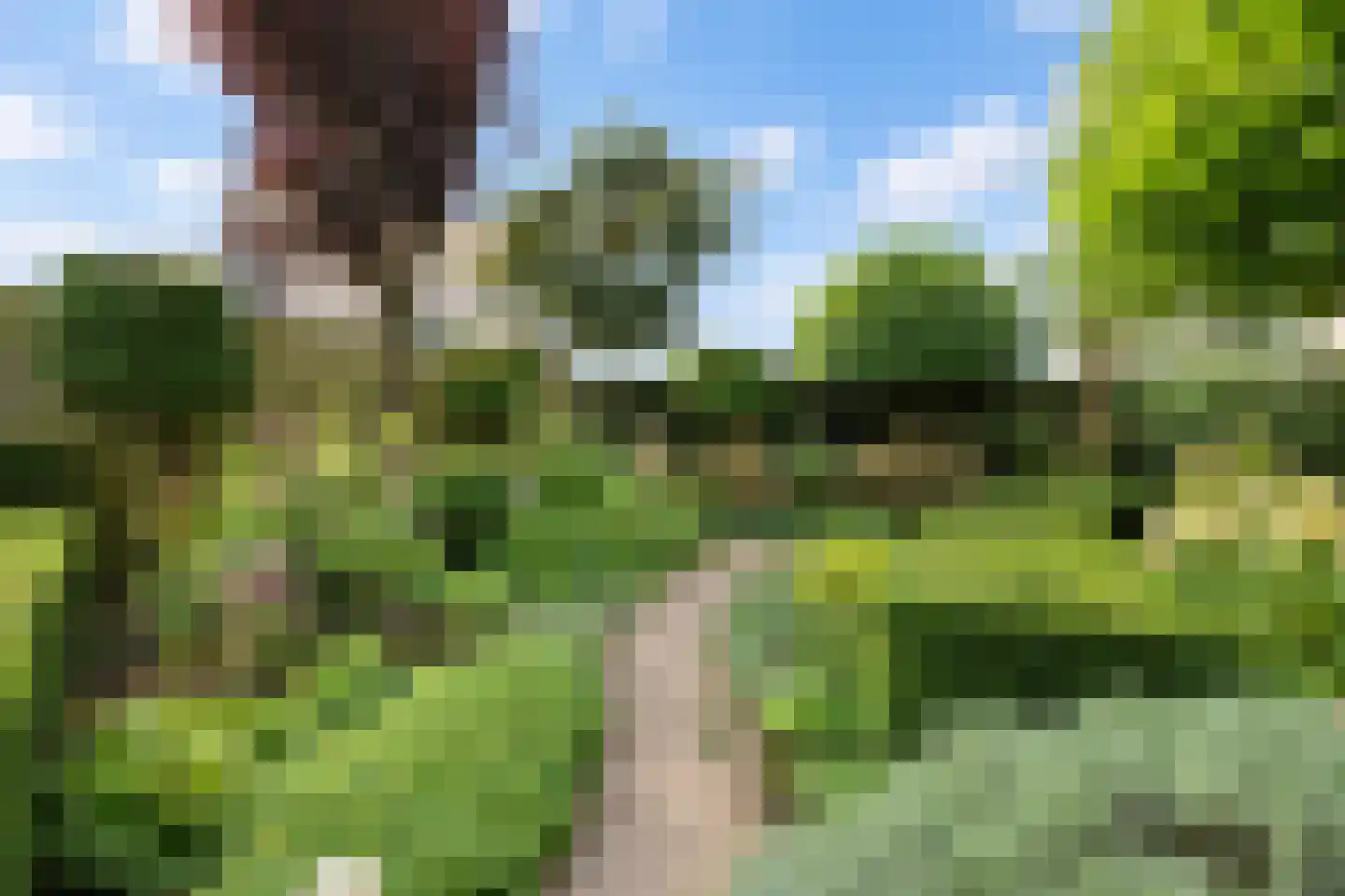 Baesjoulaan 21 Tiel thumbnail 41