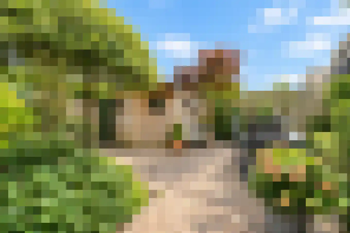 Baesjoulaan 21 Tiel thumbnail 42