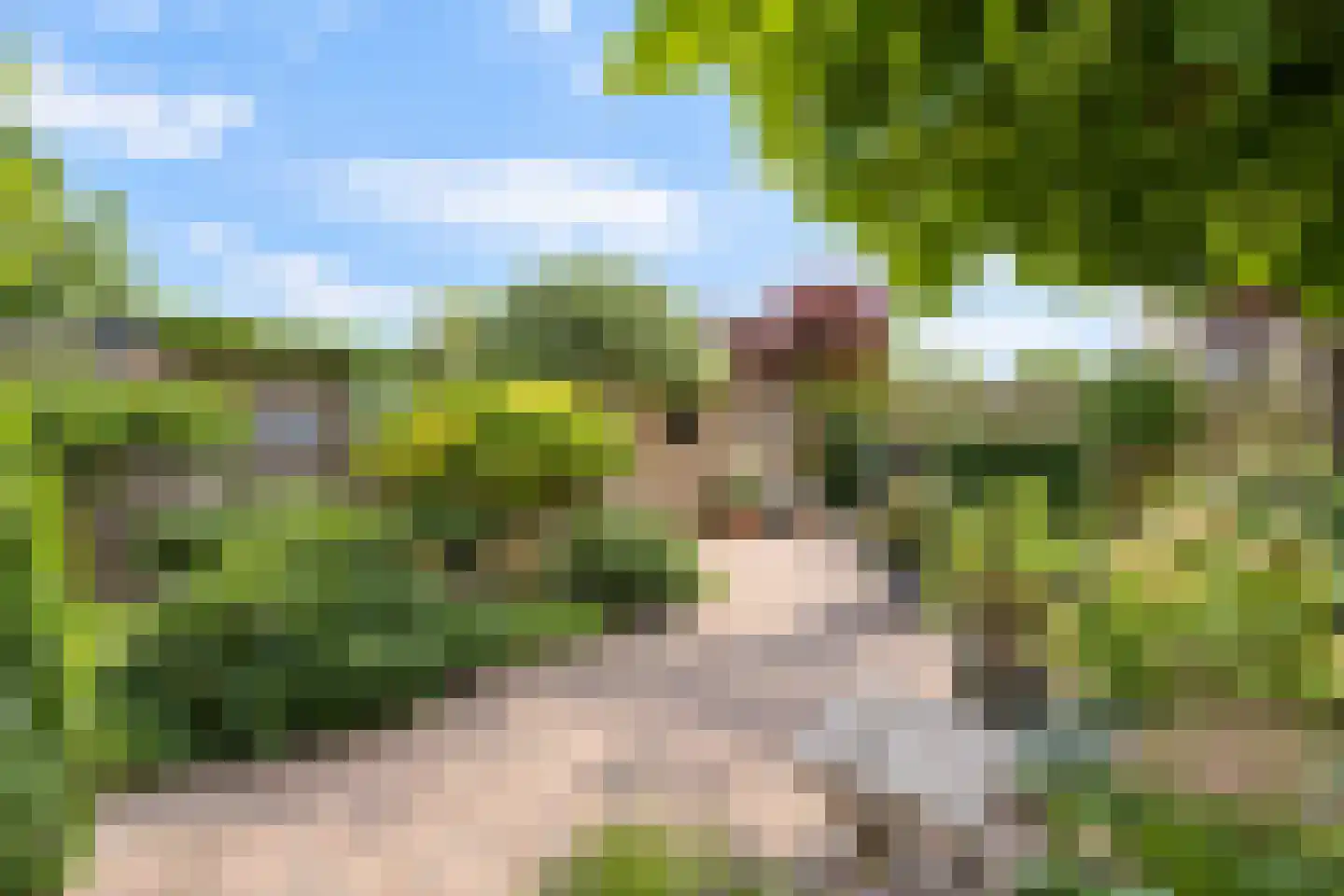 Baesjoulaan 21 Tiel thumbnail 45