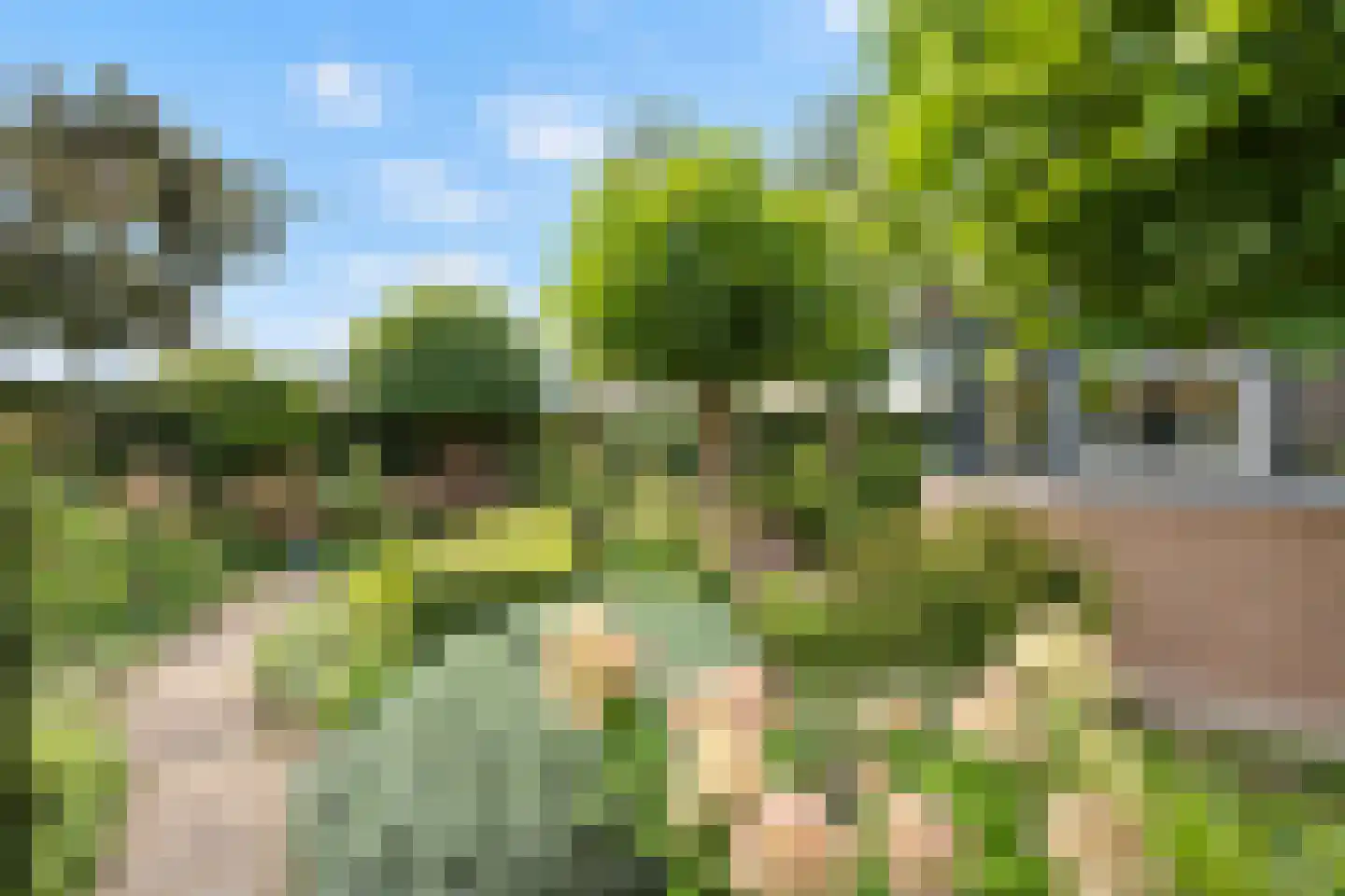Baesjoulaan 21 Tiel thumbnail 46