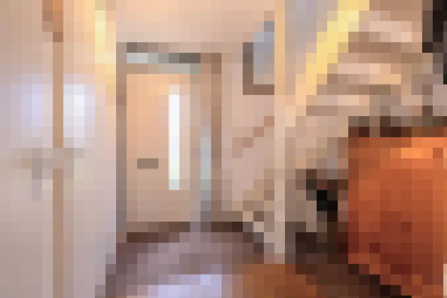 Baesjoulaan 21 Tiel thumbnail 52
