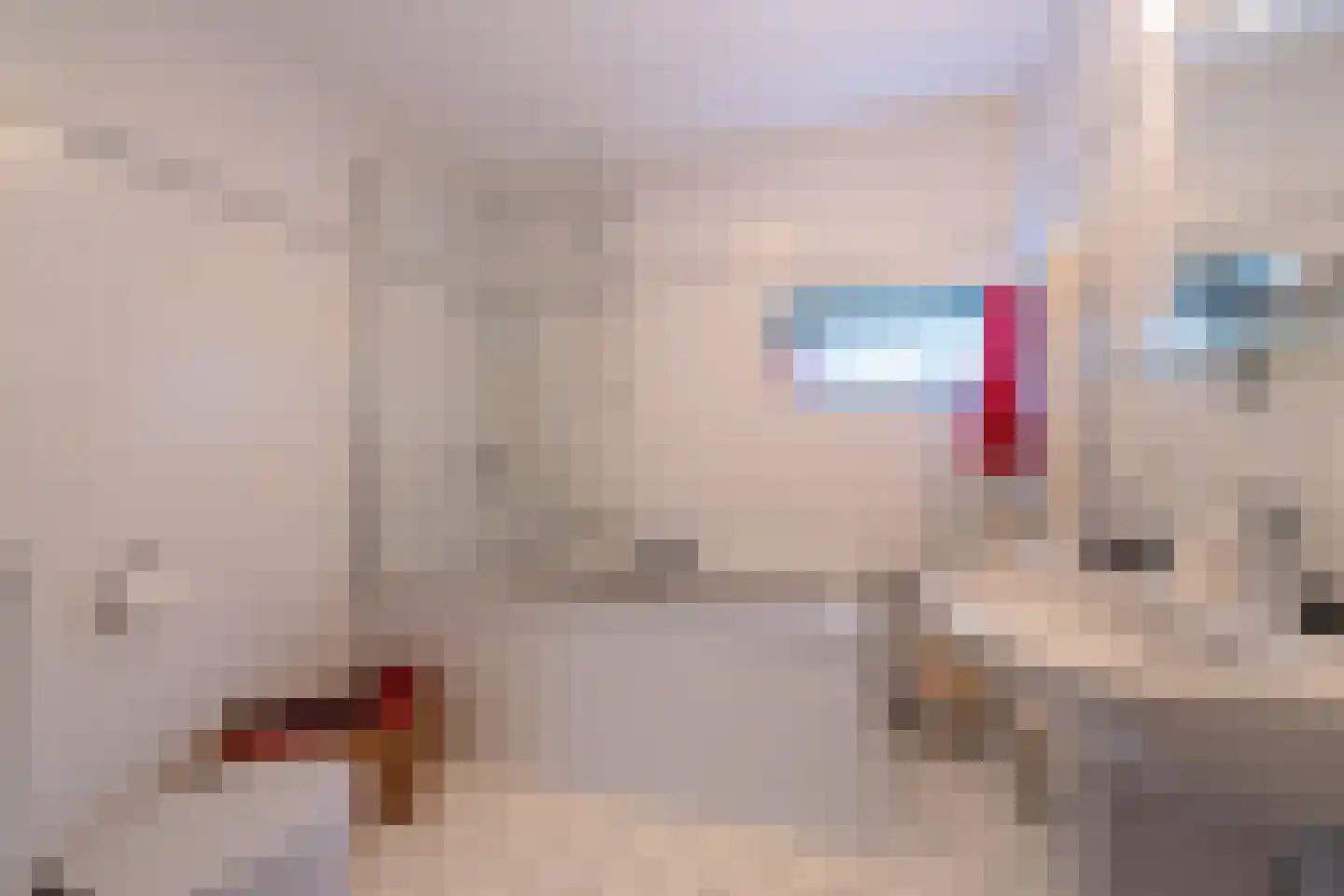 Baesjoulaan 21 Tiel thumbnail 60