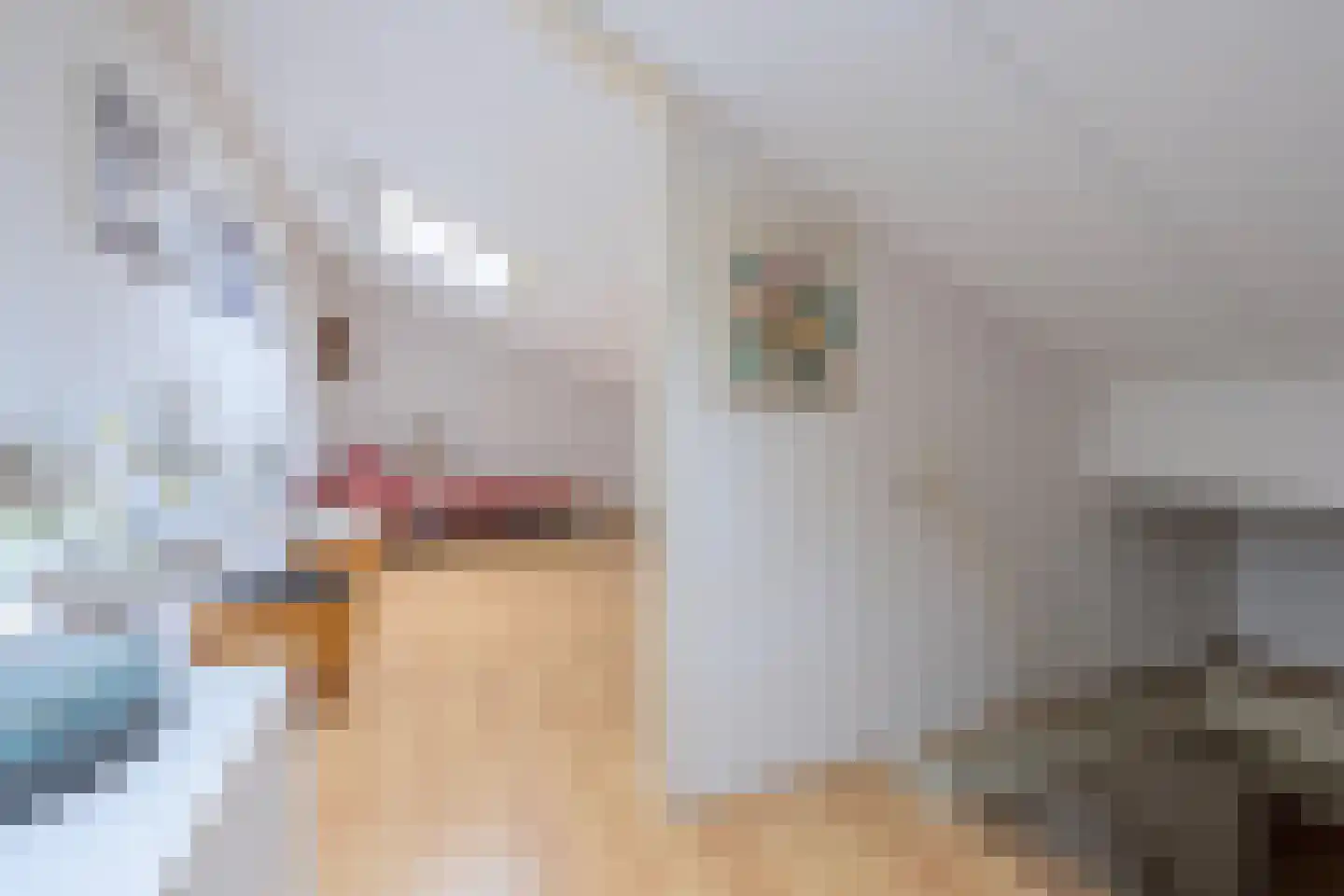 Baesjoulaan 21 Tiel thumbnail 62