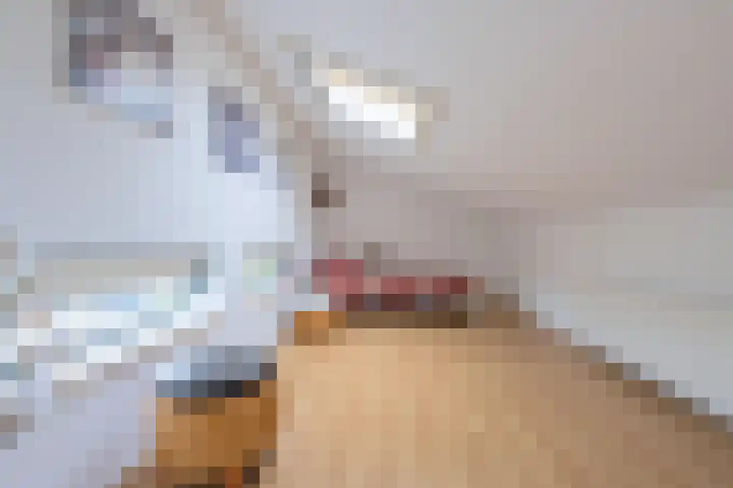 Baesjoulaan 21 Tiel thumbnail 63