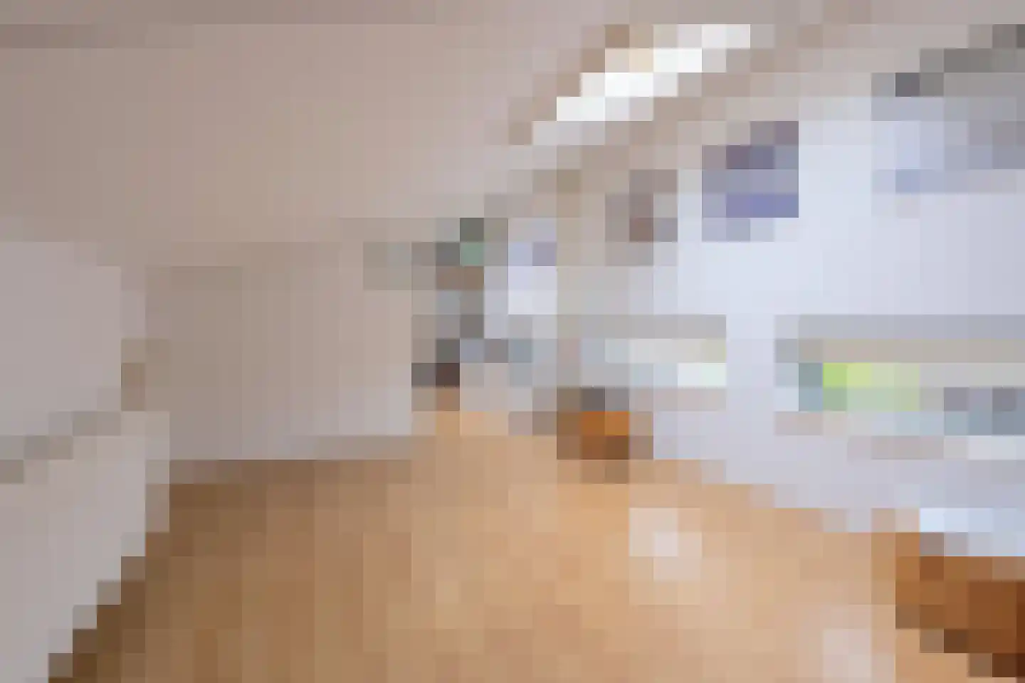 Baesjoulaan 21 Tiel thumbnail 64