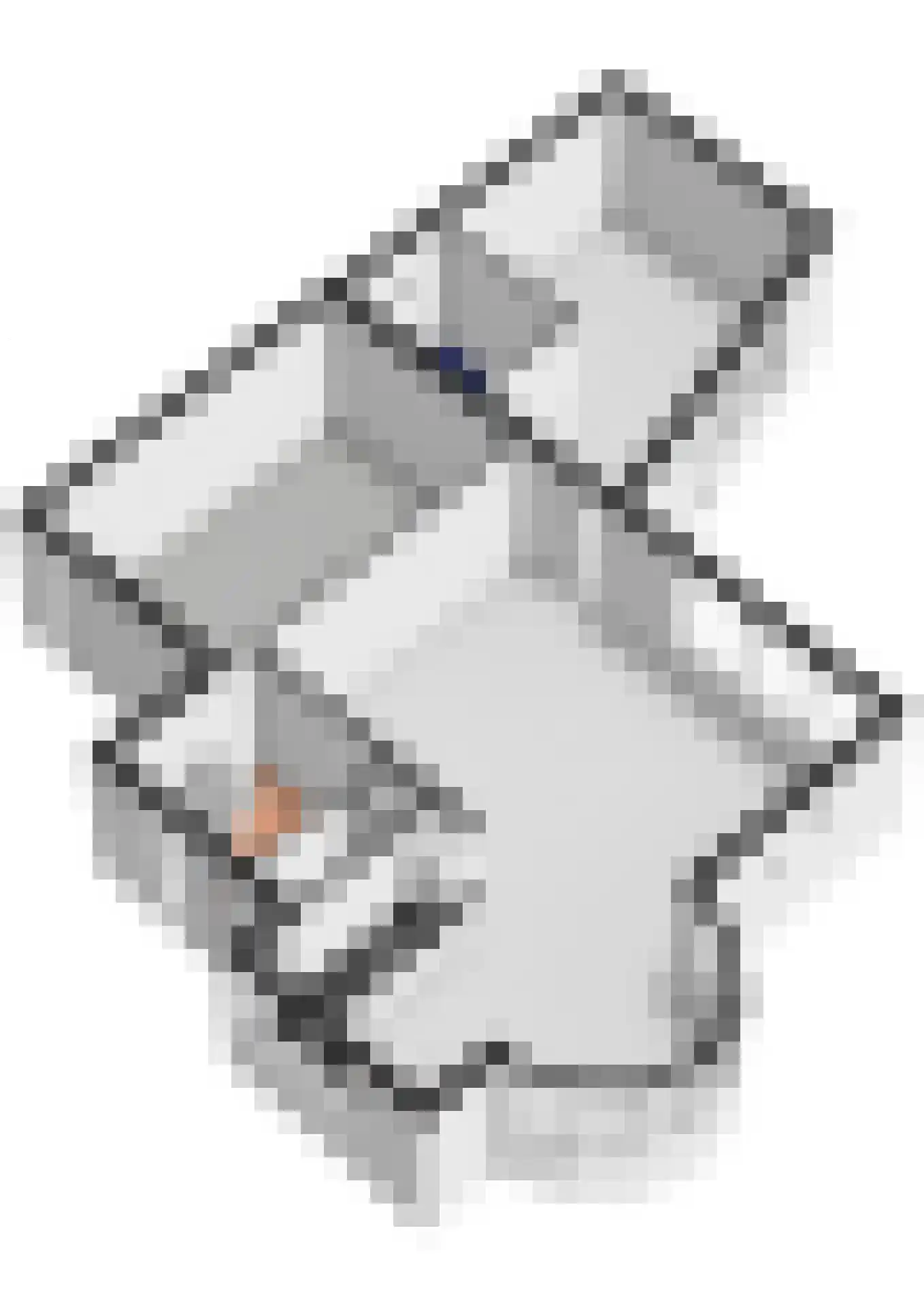 Baesjoulaan 21 Tiel thumbnail 66