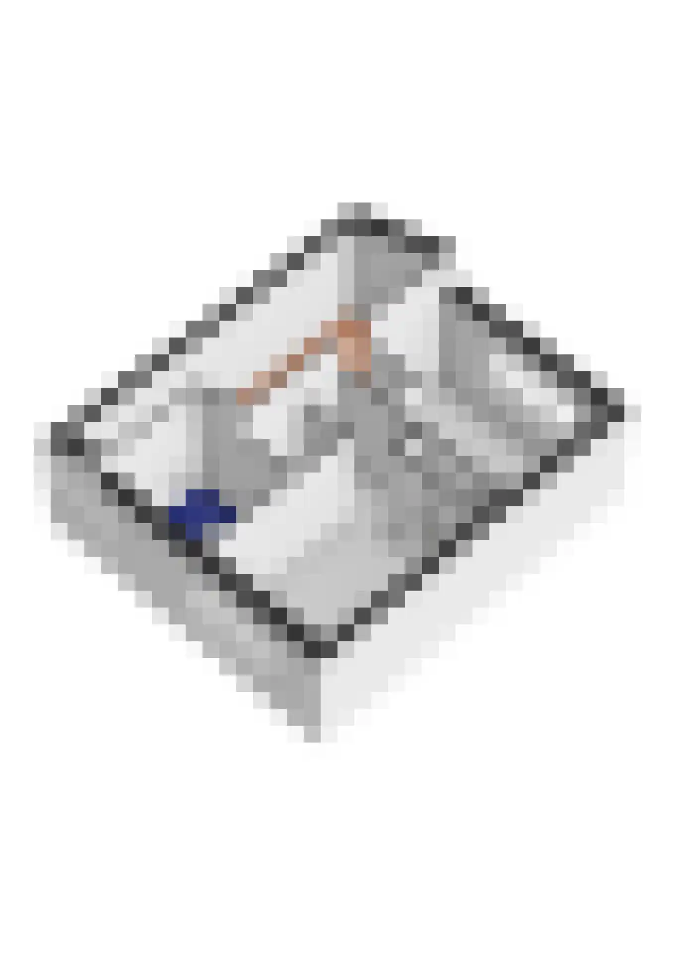 Baesjoulaan 21 Tiel thumbnail 68