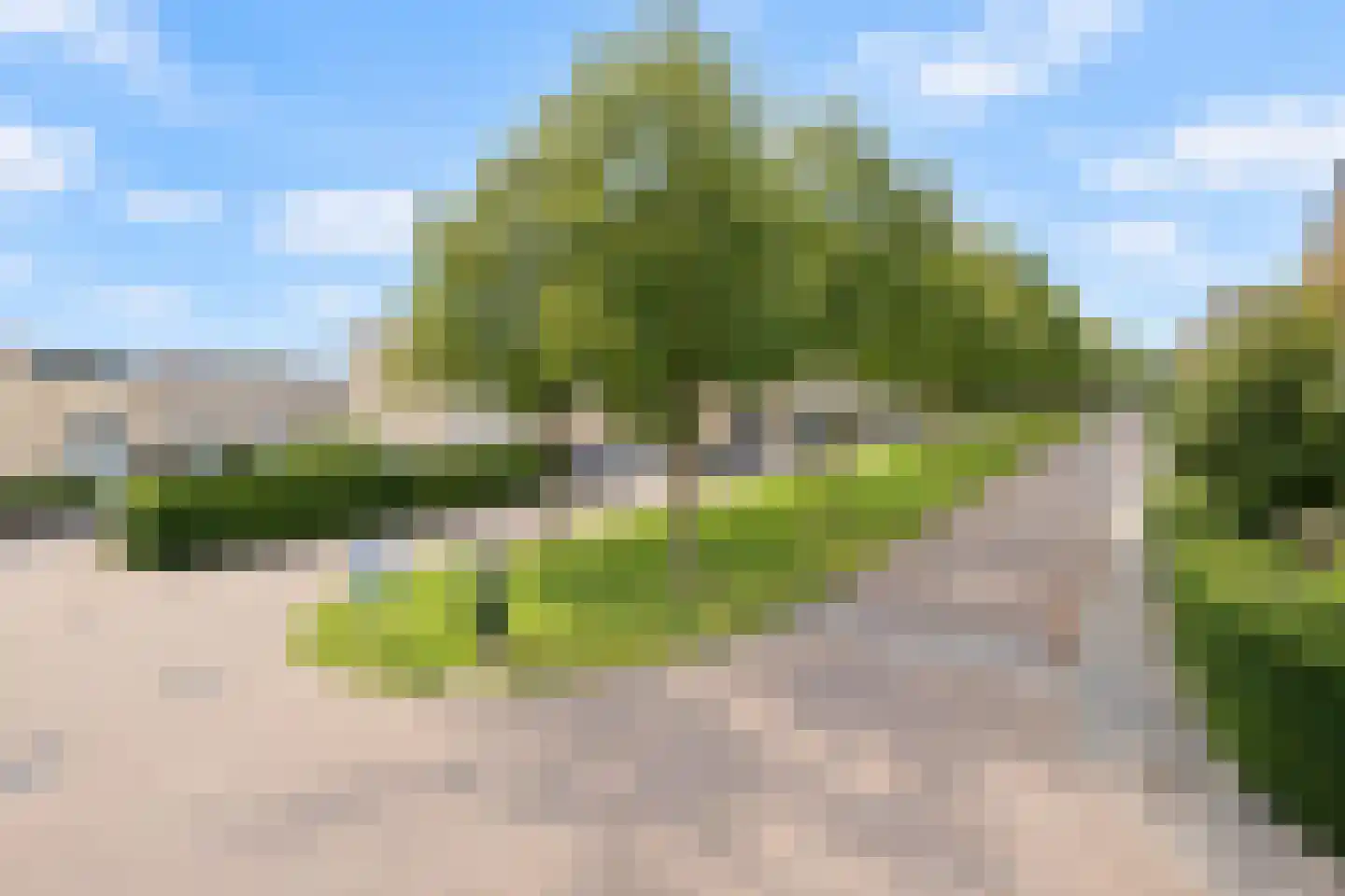 Baesjoulaan 21 Tiel thumbnail 7