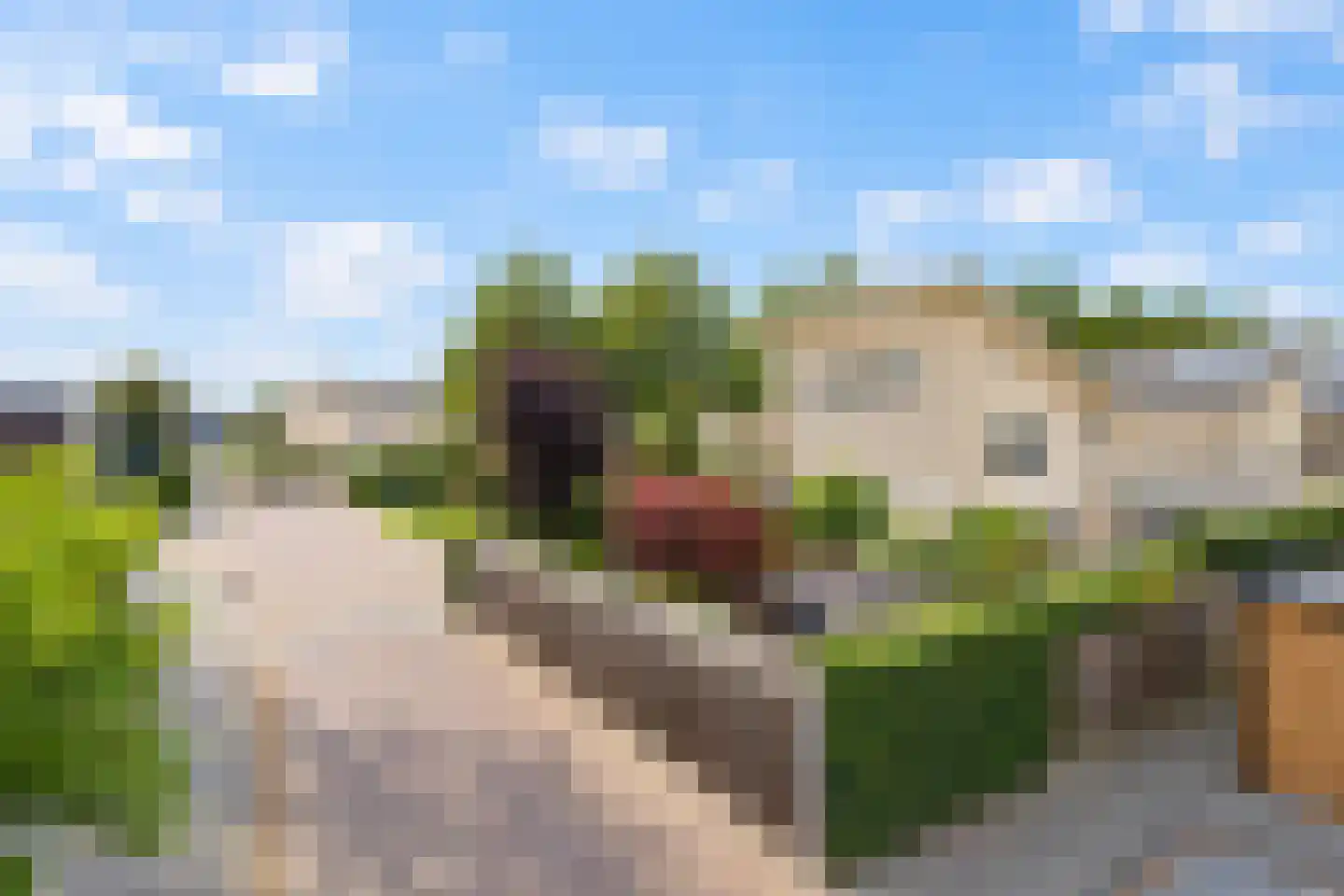 Baesjoulaan 21 Tiel thumbnail 9