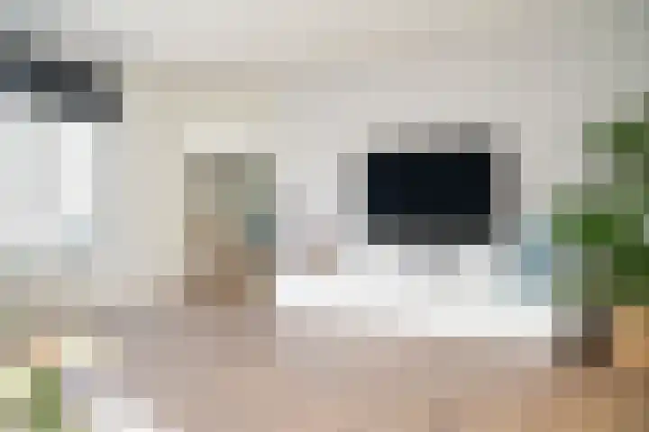 Baesjoulaan 4 Tiel thumbnail 17