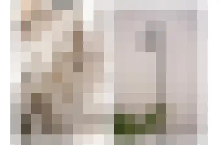 Baesjoulaan 4 Tiel thumbnail 26
