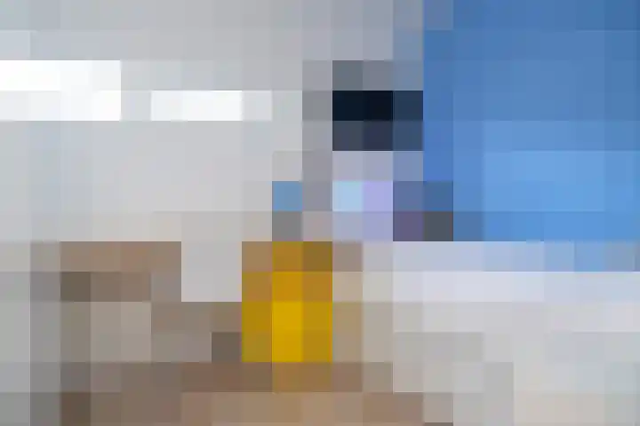 Baesjoulaan 4 Tiel thumbnail 34