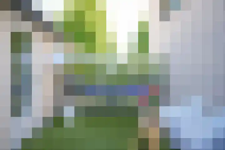 Baesjoulaan 4 Tiel thumbnail 35