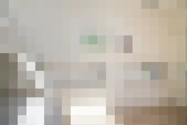 Baesjoulaan 4 Tiel thumbnail 40